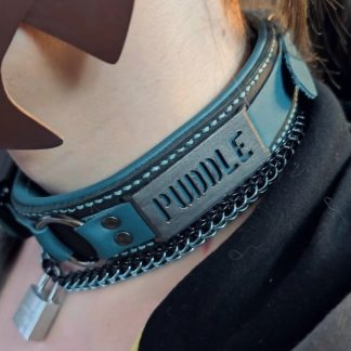 Double Strap Collar with Nameplate